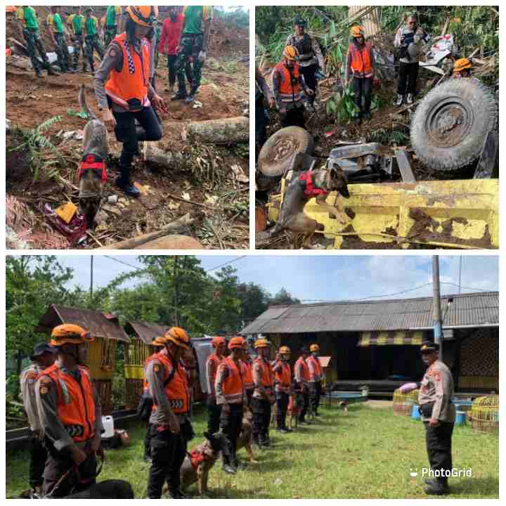 PhotoGrid_Plus_1669263344611(1)