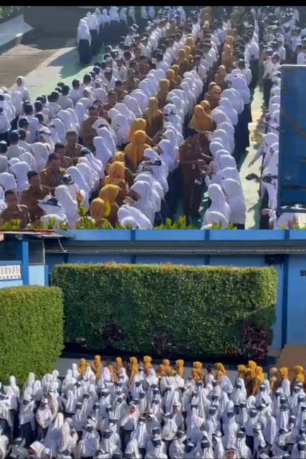 img_1774835254803 (1)