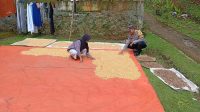 IMG-20260611-WA0018