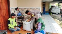 IMG-20260611-WA0028
