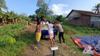 IMG-20260615-WA0027