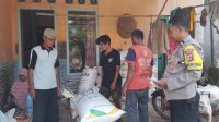 IMG-20260616-WA0012